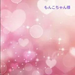 【もんこちゃん様専用】商品