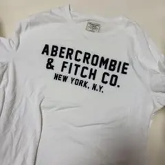 Abercrombie & Fitch アバクロ　ロングTシャツ　春服　M