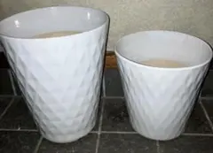 @ＪＷ胡蝶蘭 植木鉢 陶器 ホワイト 2個セット レリーフ模様