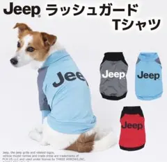 Item thumbnail for item 1e5a283d-8caf-4497-bba9-b13f6630a203