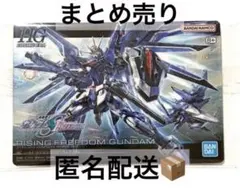 まとめ売り ライジングフリーダム HG ガンダム ガンプラ パッケージアートグミ