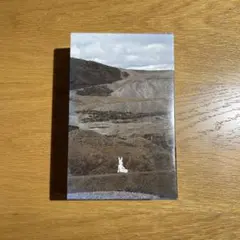 2025年最新】小沢健二 うさぎの人気アイテム - メルカリ