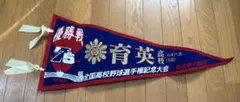 【1993年 全国制覇記念】育英高校 優勝戦ペナント