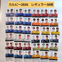 カルビープロ野球チップス　2026年第一弾　レギュラーカード　まとめ売り　36枚