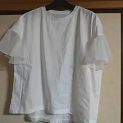 新品 フェンネル FENNEL ヤマダヤ スコットクラブ Tシャツ 白 ホワイト 新品 フェンネル FENNEL ヤマダヤ スコットクラブ Tシャツ 白