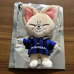 straykids KARMA skzoo フォクシニー