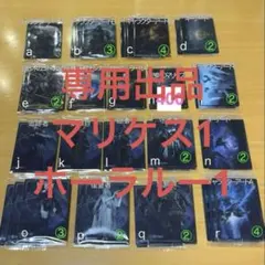 マリケス1、ホーラルー1