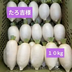 たろ吉様専用★辛味大根『おいばね』SМ混合10kgのサムネイル