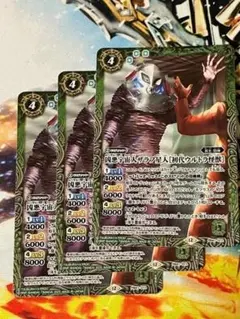 Tokage Abaraya様 リクエスト 2点 まとめ商品