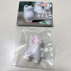 俺、今日からかえる 第4弾 シークレット アルビノ ガチャガチャ