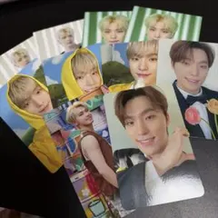 seventeen ディノ タレントカード