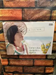 本田翼　C1000 ビタミンウォーター クリアファイル2枚