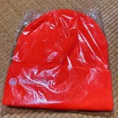 値下げ本日のみ!DRAGON ビーニー スノーボード 未使用品
