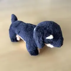 2026年最新】ダックスフンド ぬいぐるみ 黒の人気アイテム - メルカリ