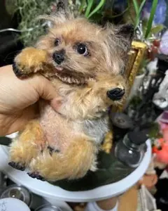 Item thumbnail for item cd756938-5797-45c1-a434-ef3e800878a3