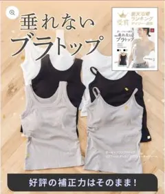 新品　ラディアンヌ 垂れないブラトップ 補正下着　グレージュ　Sサイズのサムネイル