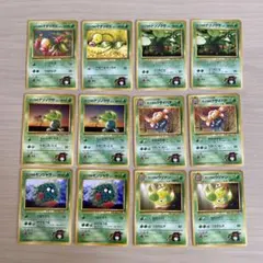 ポケモンカード　旧裏　エリカシリーズ　18枚セット