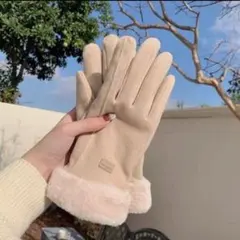 レディース 手袋 スマホ対応 ふわふわ 裏起毛 冬 防寒 防風 ファー 五本指