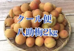 クール便　八助梅　2キロのサムネイル