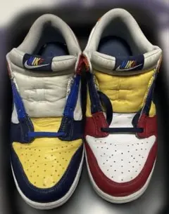 Nike Dunk Low CO.JP What The