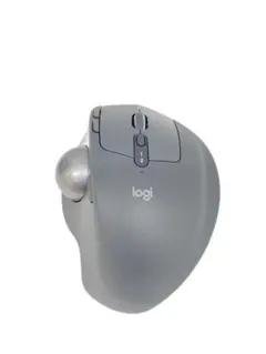 Item thumbnail for item 0f0bfc1c-37ba-4e78-b10e-d33630d840af