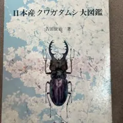 アジア産蝶類生活史図鑑 II - メルカリ
