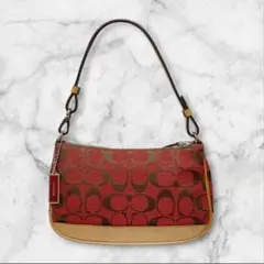 COACH コーチ アクセサリーポーチ シグネチャー ワンショルダー レザー 赤