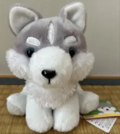 もふっとオオカミワンダフル　ぬいぐるみ