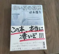 白い夏の墓標