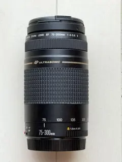 ☆極美品級☆300mm超望遠レンズ☆CANON EF 75-300mm - メルカリ
