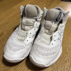 asics バスケットボールシューズ ホワイト