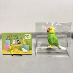 【未開封】YELL かくかく とりとり セキセイインコ