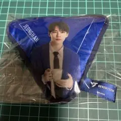 SEVENTEEN JEONGHAN キーホルダー