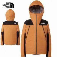 THE NORTH FACE GORE-TEX マウンテンパーカー