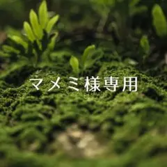 ＊マミメ様 リクエスト 5点 まとめ商品＊