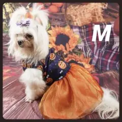 メイプル様 リクエスト 3点 まとめ商品