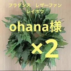 Item thumbnail for item 2c130f49-97b6-47c4-8739-1289709bf714