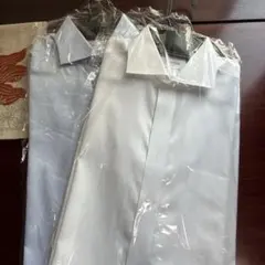 Item thumbnail for item 955e697f-7e4d-43ea-8b40-253e5aa58549