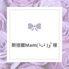⭐断捨離Mam( •̀ᴗ•́ )و ̑̑ 様⭐インド刺繍リボン⭐アリス　各80cm