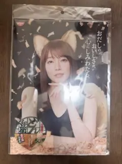 日清のどん兵衛 吉岡里帆 クリアファイルのサムネイル