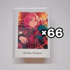 桜河こはく　ぱしゃっつ　66枚セット
