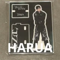 &TEAM HARUA ハルア BLAZE THE WAY アクスタ