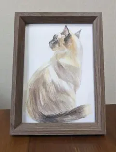 オリジナル手描きイラスト　シャム猫　B6 色鉛筆画　原画 アナログ