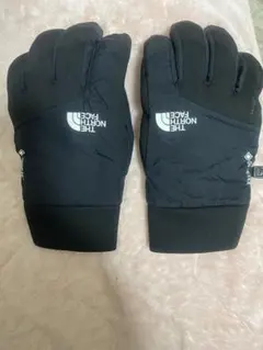 THE NORTH FACE GORE-TEX 防寒手袋