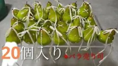 2026年最新】ラ フランス オブジェの人気アイテム - メルカリ