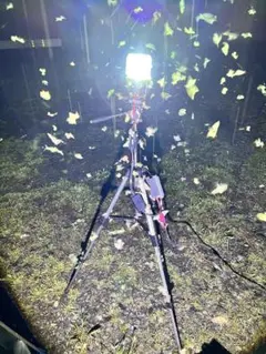値下げ　灯火採集　昆虫採取 7インチ 55w ライトトラップ ８m配線 楽天市場】HID サーチライト 55w 12v 24v 電源 スポット照射