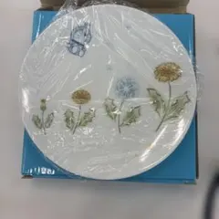 新品未使用 Noritake ドラえもんプレート 5枚セット 専用箱付き - メルカリ