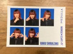 2025年最新】柴崎楽の人気アイテム - メルカリ