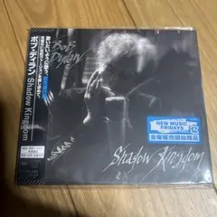 光だけが光じゃない＋ＳＩＯＮ　ＹＡＯＮ   [DVD] SION DVD 光だけが光じゃない + SION-YAON - メルカリ
