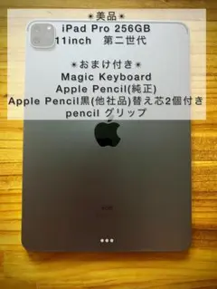 ✴︎美品✴︎iPad Pro 256GB 11インチ 第2世代 /豪華おまけ付き